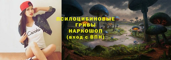 шишки Богородицк