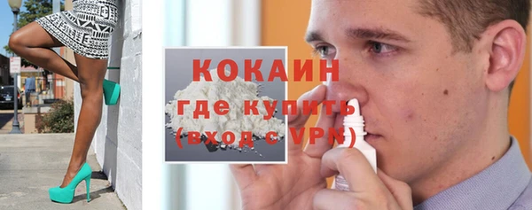 дживик Бронницы