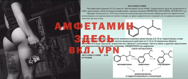 шишки Богородицк