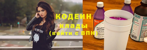 шишки Богородицк