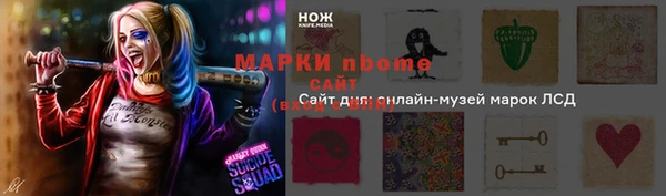 дживик Бронницы