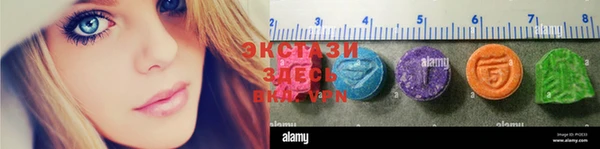 шишки Богородицк