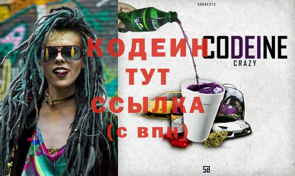 дживик Бронницы