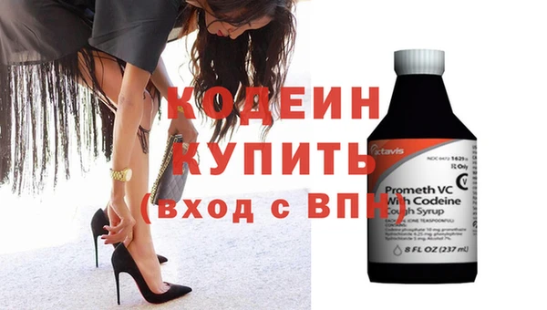 дживик Бронницы