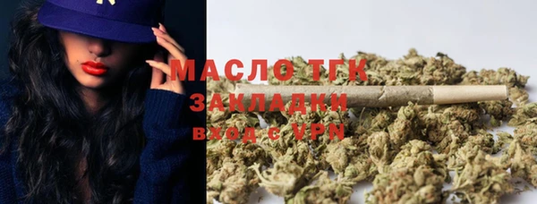 дживик Бронницы