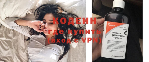 шишки Богородицк