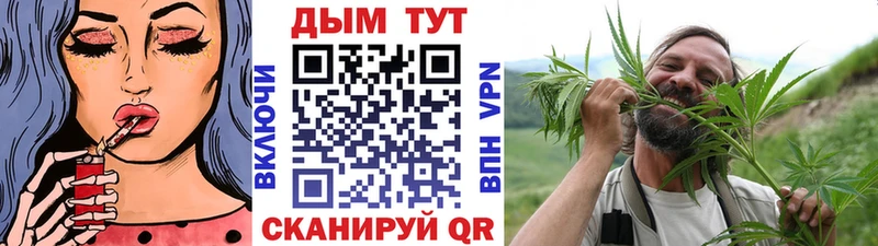KRAKEN ONION  Давлеканово  Канабис планчик 